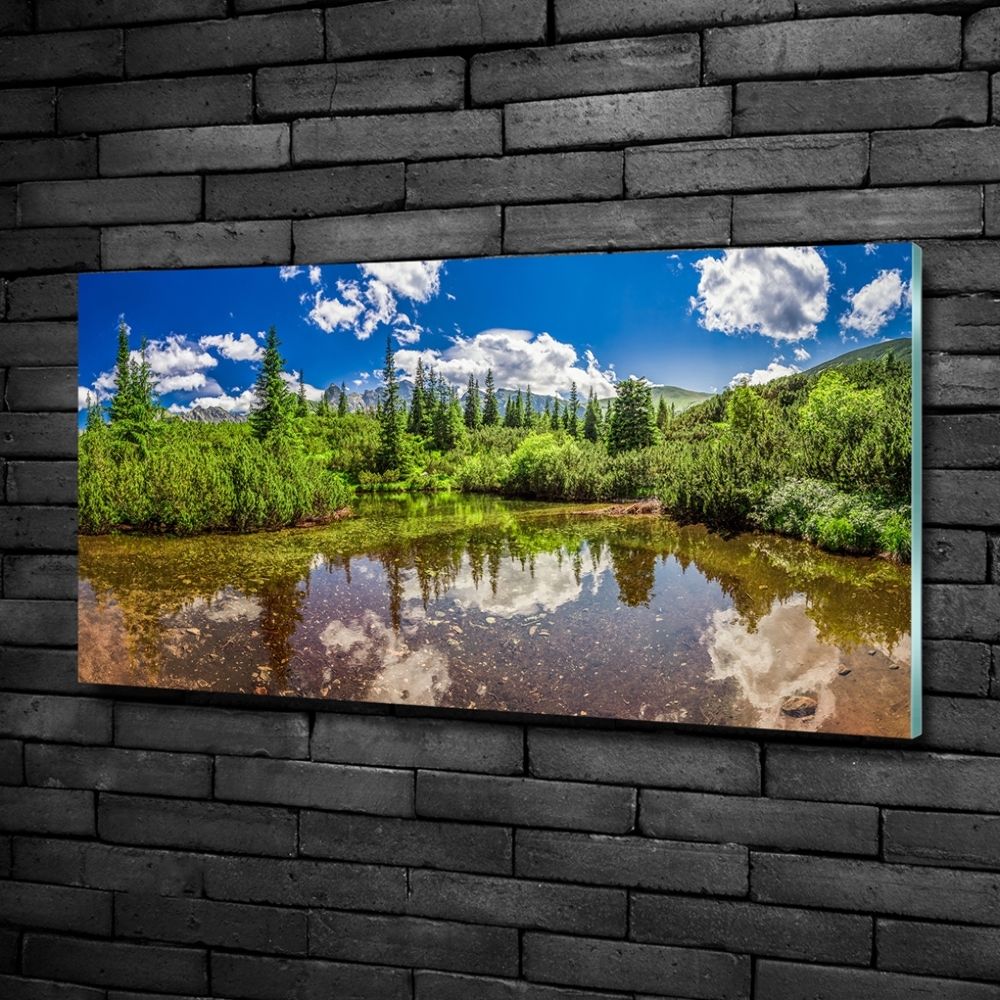 Glass wall art large Lake in the forest