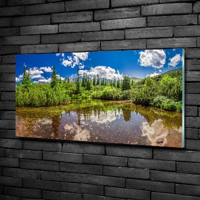 Glass wall art large Lake in the forest