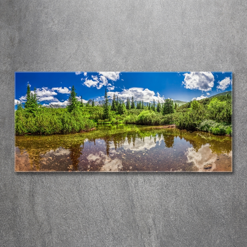 Glass wall art large Lake in the forest