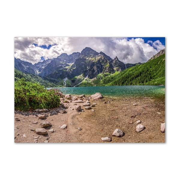 Glass picture print Lake in the mountains