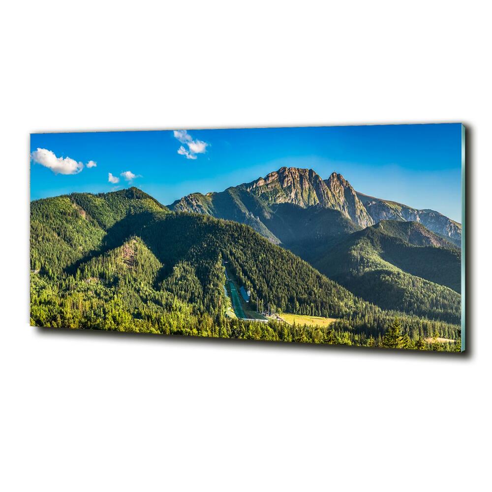 Glass picture print Panorama of the tatra mountains