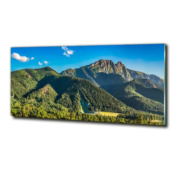 Glass picture print Panorama of the tatra mountains