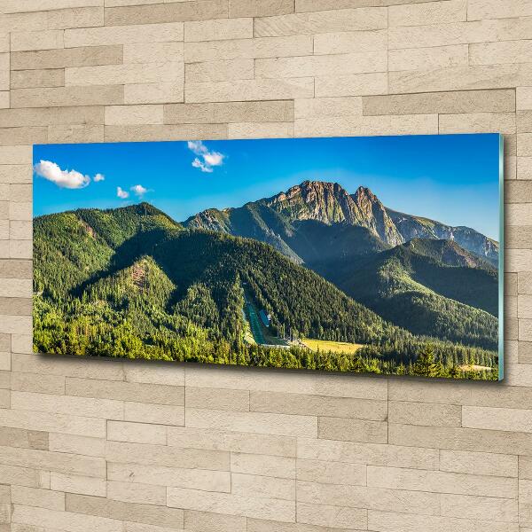 Glass picture print Panorama of the tatra mountains