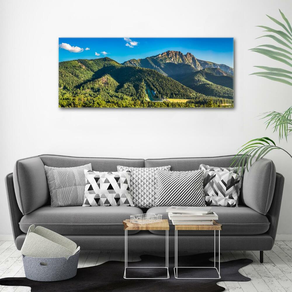 Glass picture print Panorama of the tatra mountains