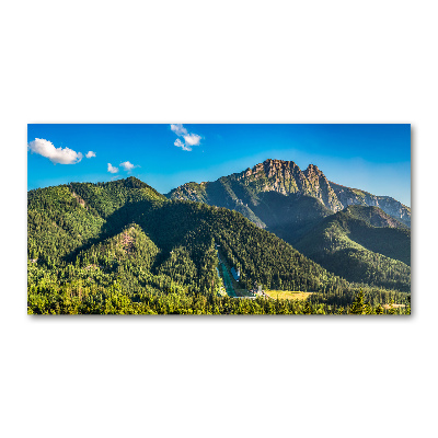 Glass picture print Panorama of the tatra mountains