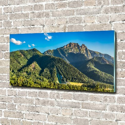 Glass picture print Panorama of the tatra mountains