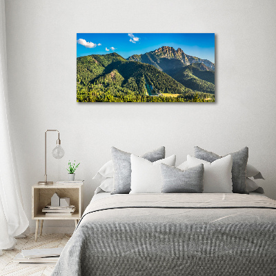 Glass picture print Panorama of the tatra mountains