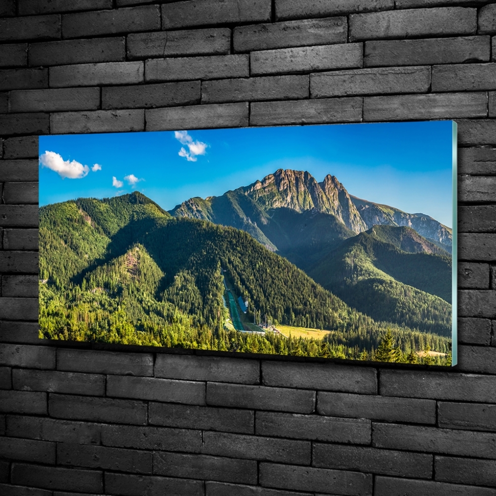 Glass picture print Panorama of the tatra mountains