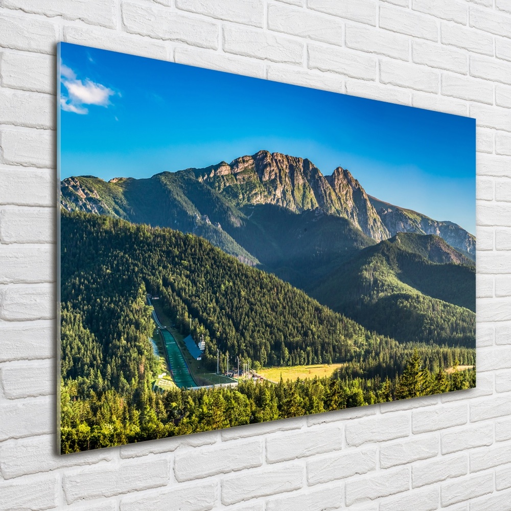 Glass picture print Panorama of the tatra mountains