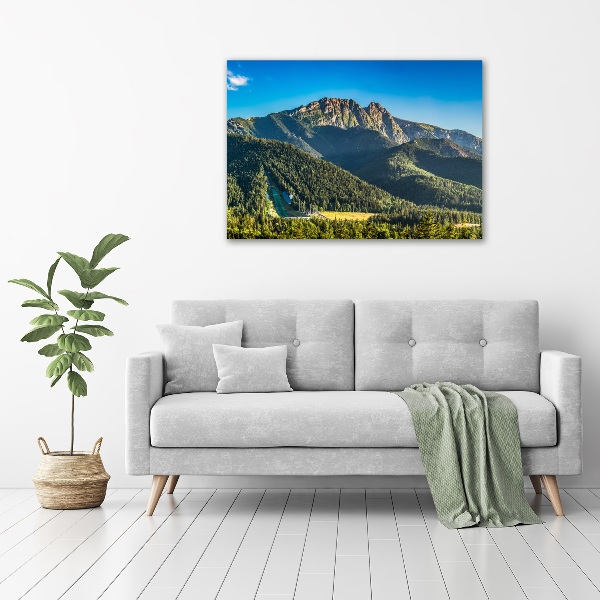 Glass picture print Panorama of the tatra mountains