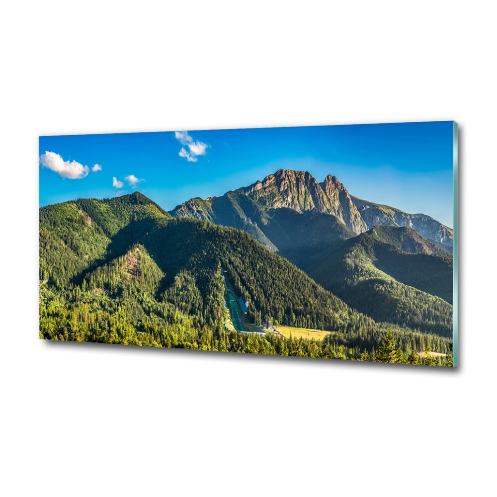 Glass picture print Panorama of the tatra mountains