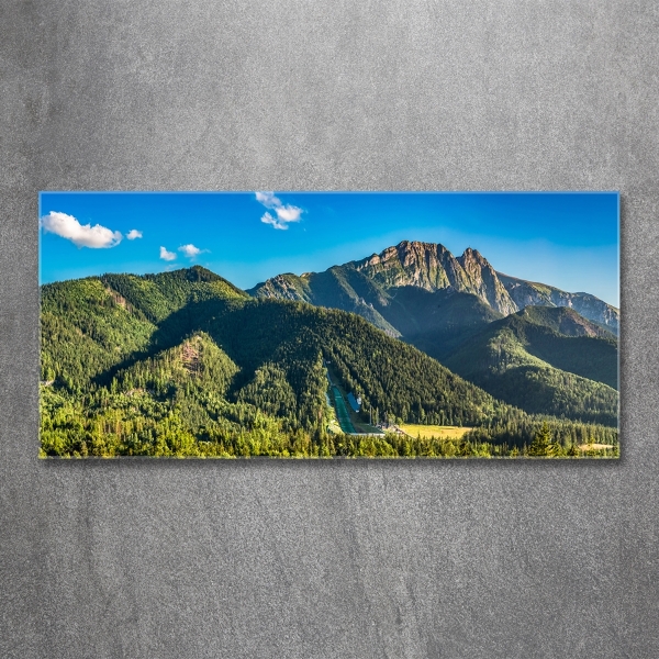 Glass picture print Panorama of the tatra mountains