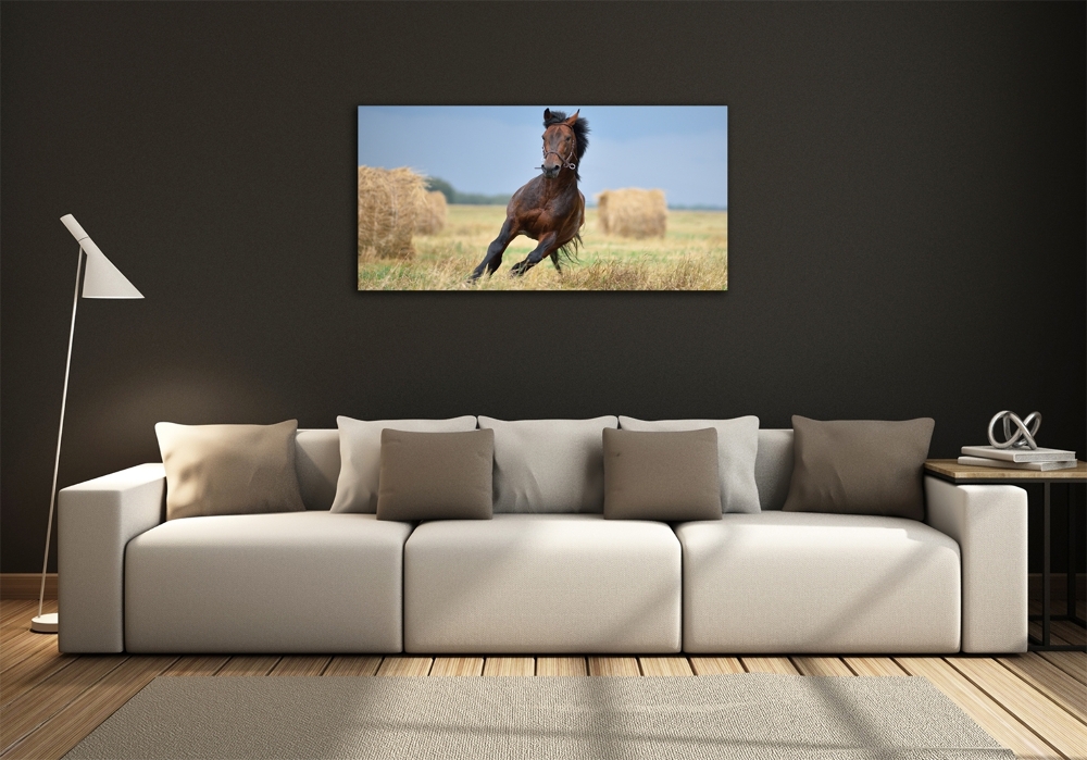 Glass art print Horse at a gallop