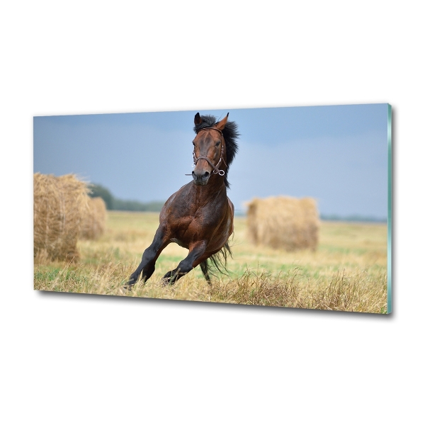 Glass art print Horse at a gallop