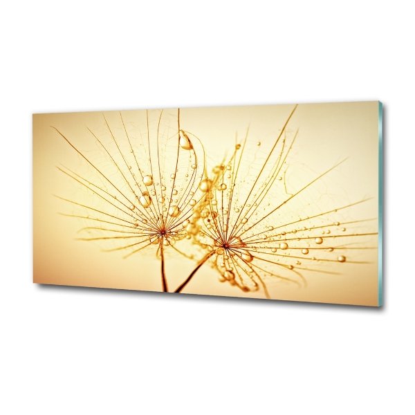 Wall art on glass Dandelion seeds