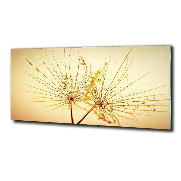 Wall art on glass Dandelion seeds