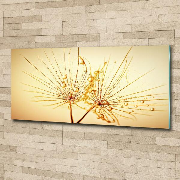 Wall art on glass Dandelion seeds