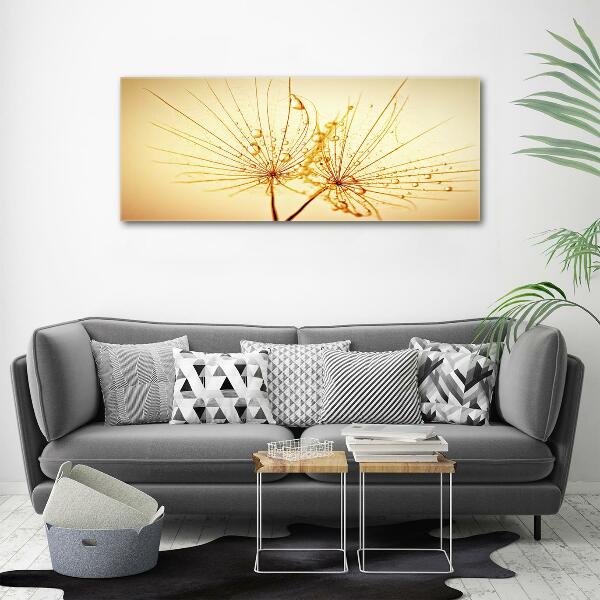 Wall art on glass Dandelion seeds