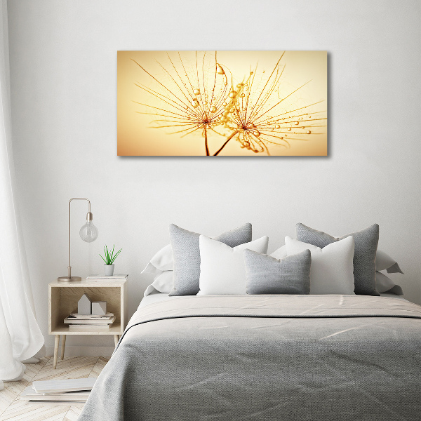 Wall art on glass Dandelion seeds