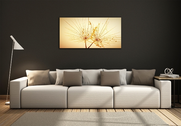 Wall art on glass Dandelion seeds