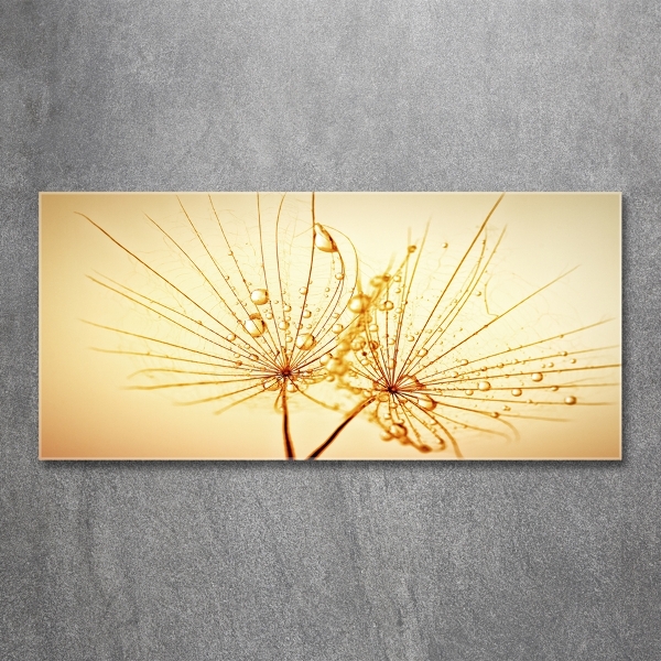 Wall art on glass Dandelion seeds