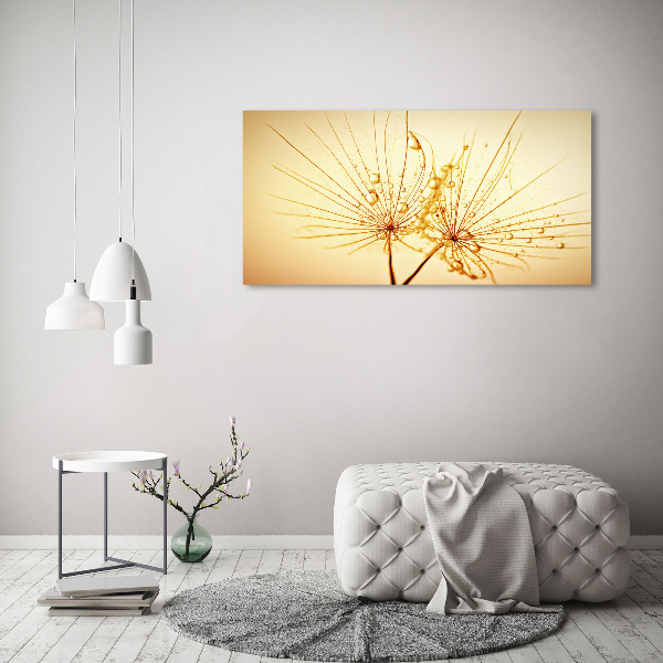 Wall art on glass Dandelion seeds