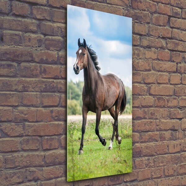 Wall art on glass Horse