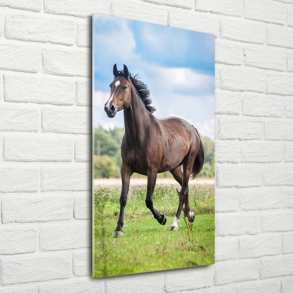 Wall art on glass Horse