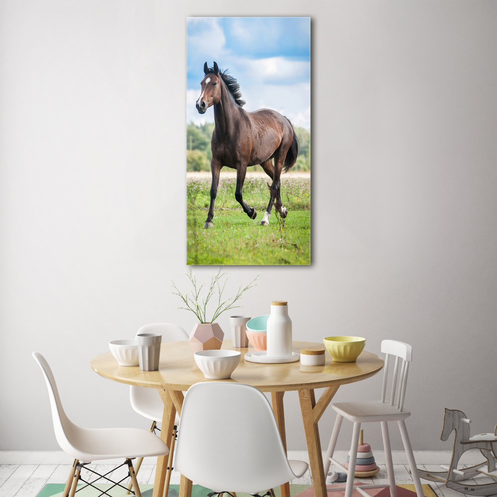 Wall art on glass Horse