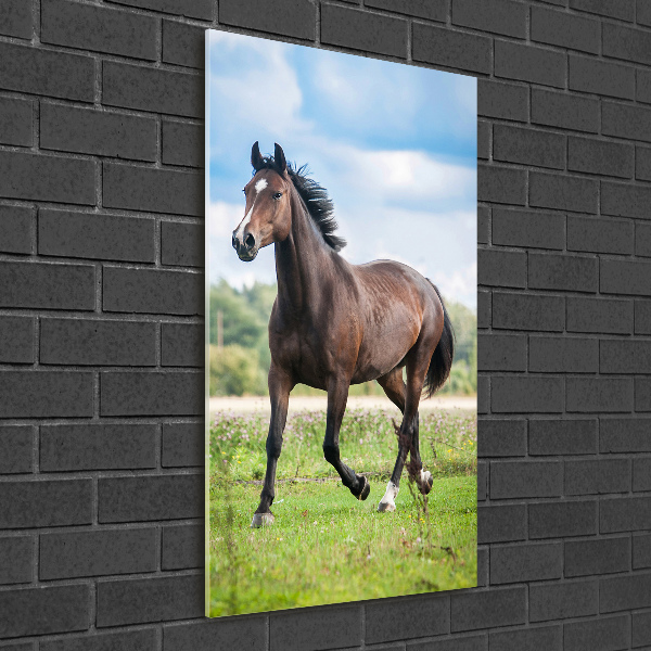 Wall art on glass Horse