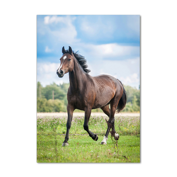 Wall art on glass Horse