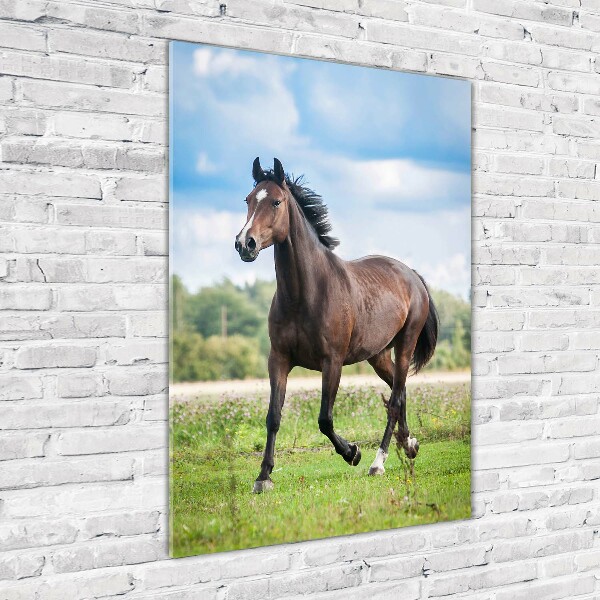 Wall art on glass Horse