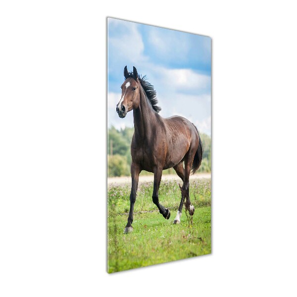 Wall art on glass Horse