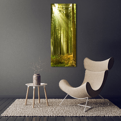 Glass wall art The sun in the forest