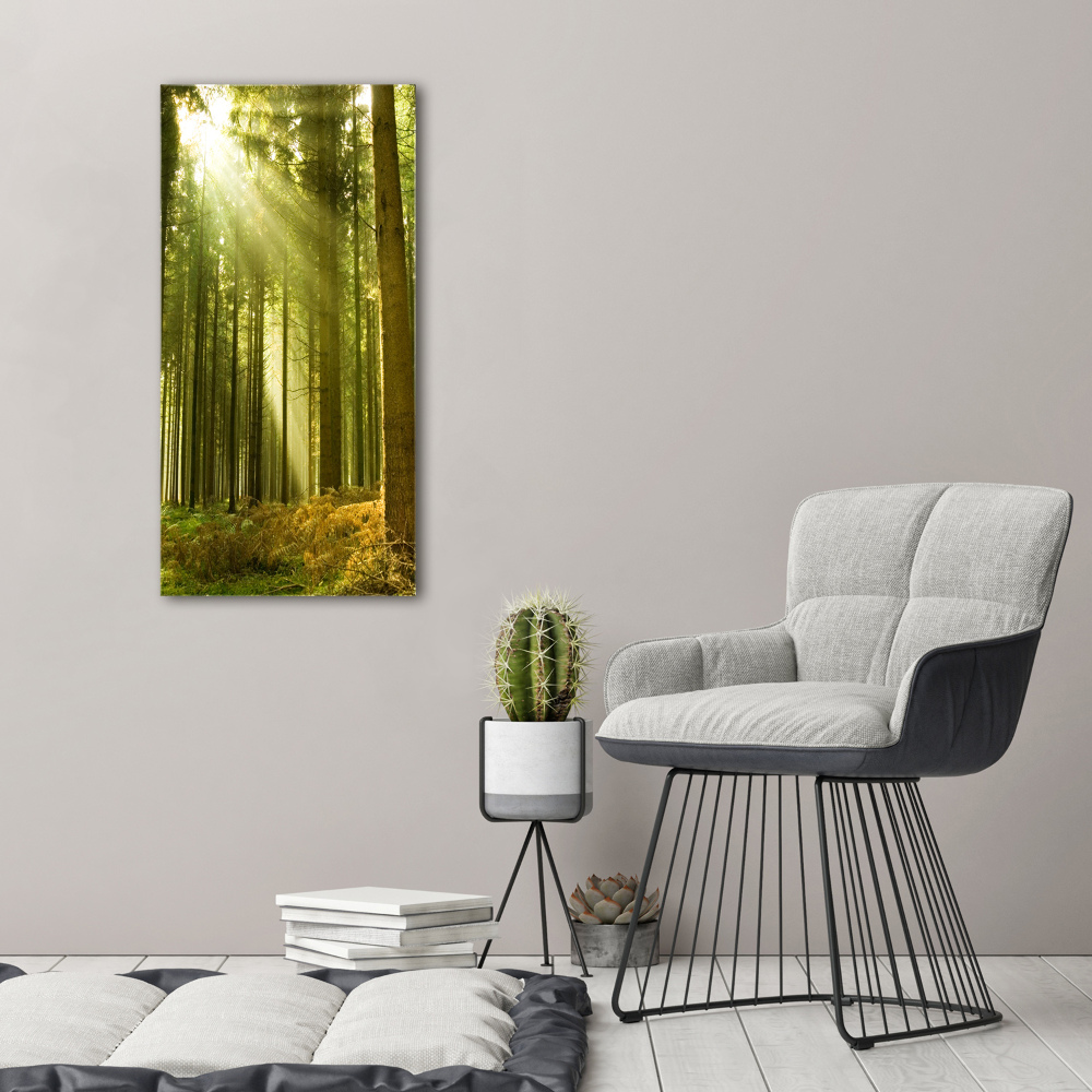 Glass wall art The sun in the forest