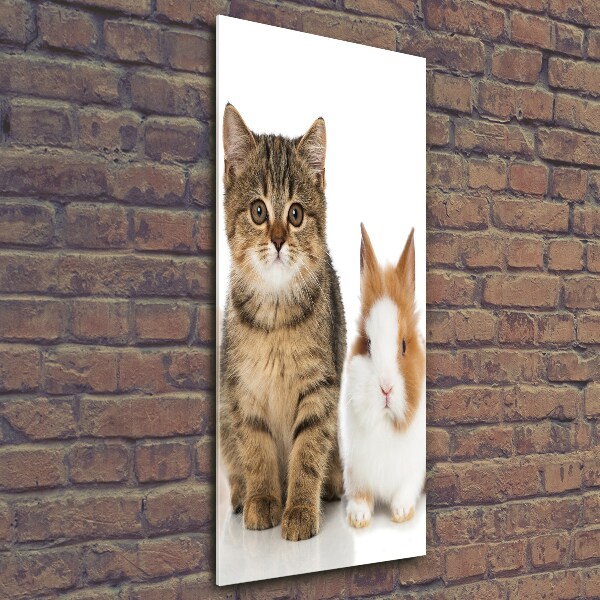 Wall art on glass Pets