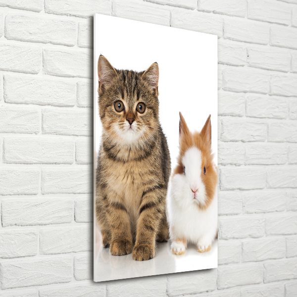 Wall art on glass Pets