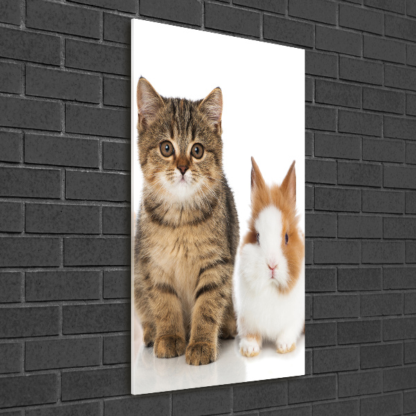 Wall art on glass Pets