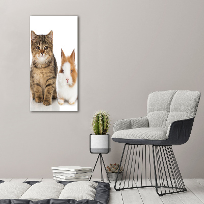 Wall art on glass Pets