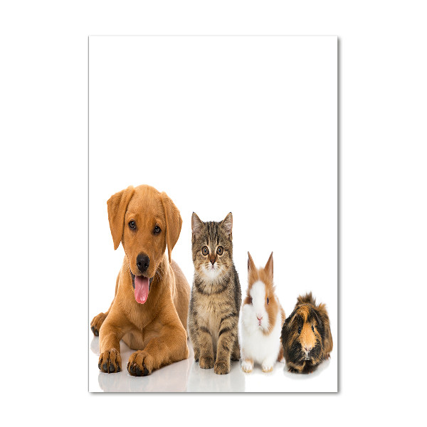 Wall art on glass Pets