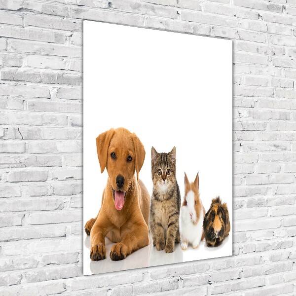 Wall art on glass Pets