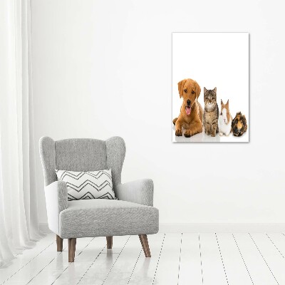 Wall art on glass Pets