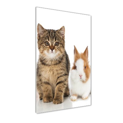 Wall art on glass Pets