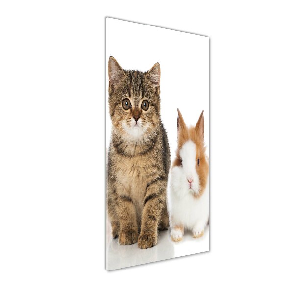 Wall art on glass Pets