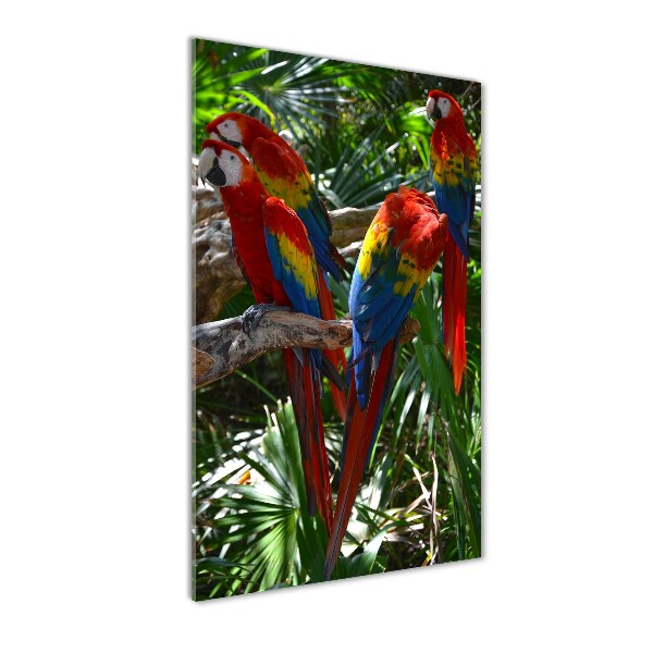 Glass wall art Ary parrots