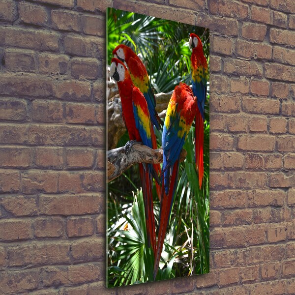 Glass wall art Ary parrots