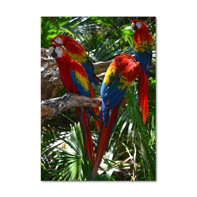 Glass wall art Ary parrots