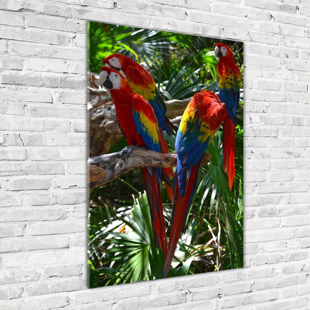 Glass wall art Ary parrots