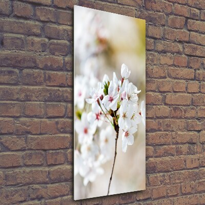 Glass wall art Cherry blossoms