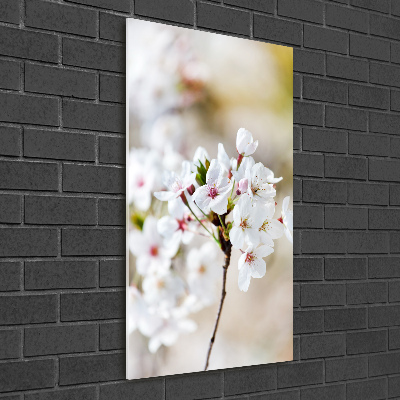 Glass wall art Cherry blossoms